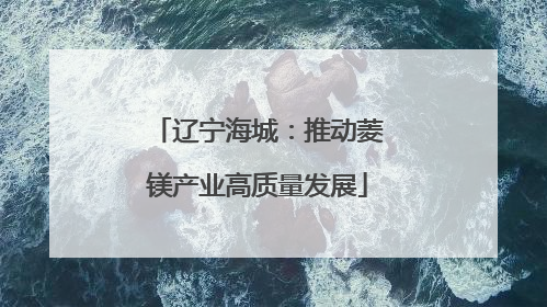 辽宁海城：推动菱镁产业高质量发展